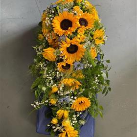 fwthumb2B866A65-C6DE-464C-8E35-79A54E3ECF58.jpg