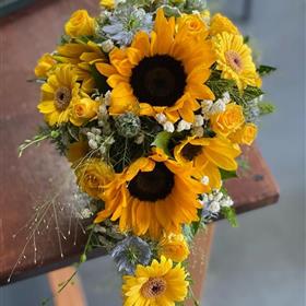 fwthumb5F7F3894-5D3A-48FE-BE12-FA61646D536D.jpg