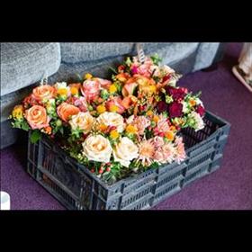 fwthumb88295ff6-7488-4f95-9063-183cc7cd620a.jpg